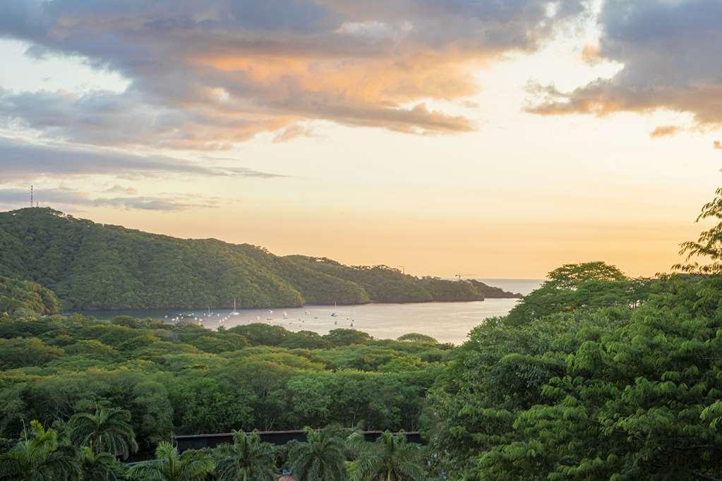 Villas Sol And Beach Resort Playa Hermosa  Natur billede
